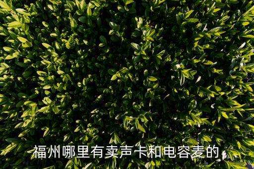 声卡专卖店附近，福州哪里有卖声卡和电容麦的