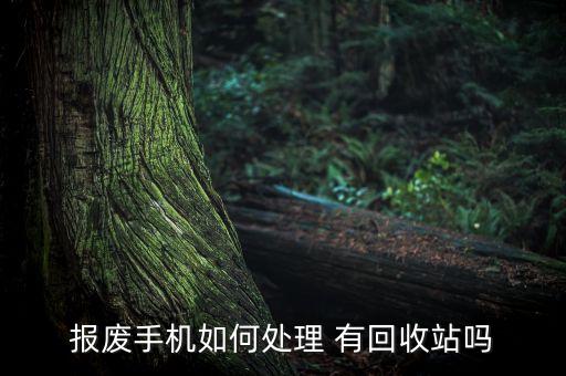 坏掉的手机怎么回收，坏手机还可以回收吗值钱吗
