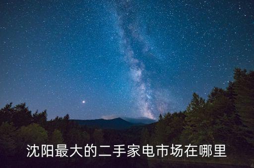 沈阳最大的二手家电市场在哪里