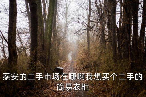 泰安的二手市场在哪啊我想买个二手的简易衣柜