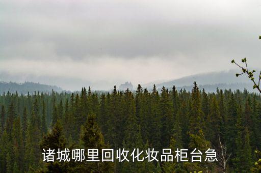 诸城哪里回收化妆品柜台急