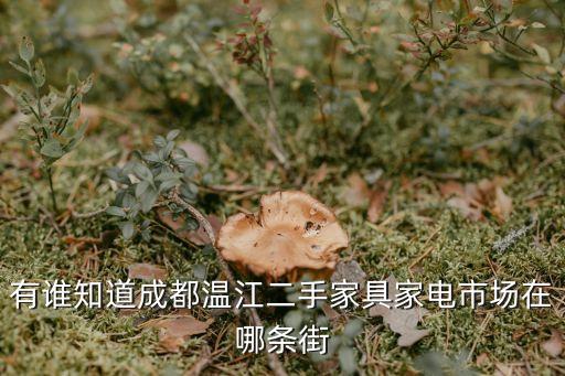 有谁知道成都温江二手家具家电市场在哪条街
