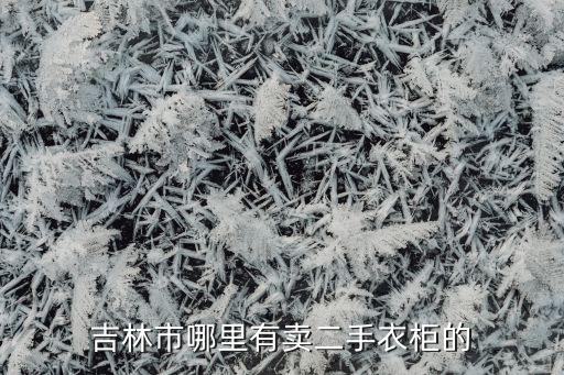 吉林市哪里有卖二手衣柜的