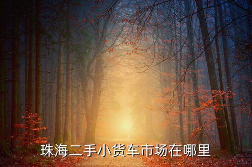 珠海二手小货车市场在哪里