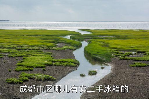 成都冰箱二手市场，成都市区哪儿有卖二手冰箱的