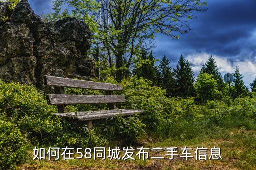58同城二手车出售信息发布，如何在58同城发布二手车信息