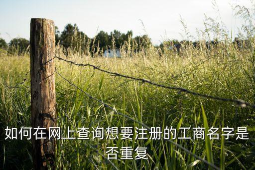 如何在网上查询想要注册的工商名字是否重复