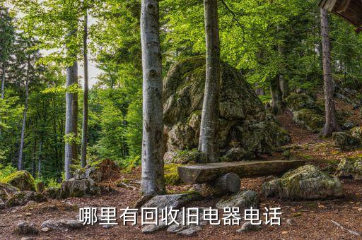 哪里有回收旧电器电话