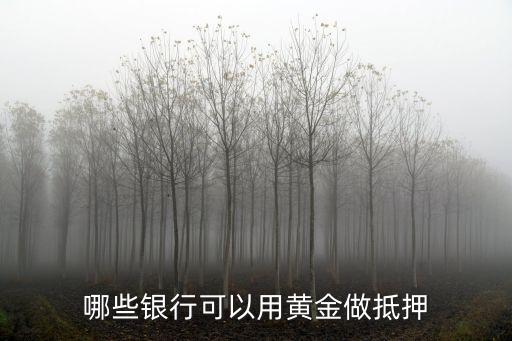 抵押黄金，实物黄金能给银行作抵押贷款...