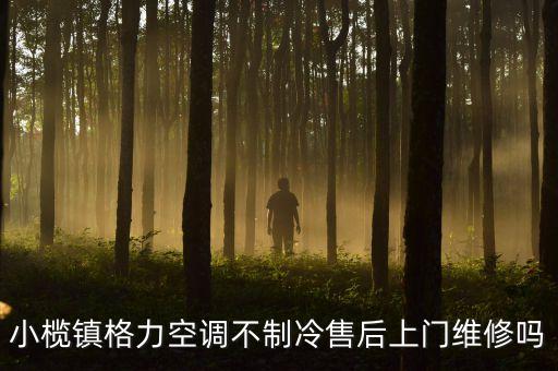 小榄镇格力空调不制冷售后上门维修吗
