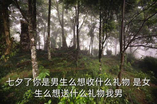 七夕了你是男生么想收什么礼物 是女生么想送什么礼物我男