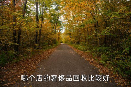 哪个店的奢侈品回收比较好