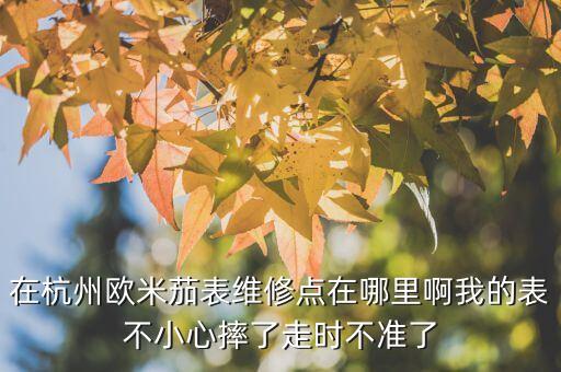 在杭州欧米茄表维修点在哪里啊我的表不小心摔了走时不准了