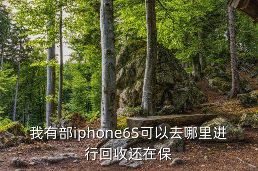 我有部iphone6S可以去哪里进行回收还在保