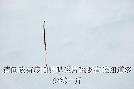 请问我有废旧喇叭磁片磁钢有谁知道多少钱一斤