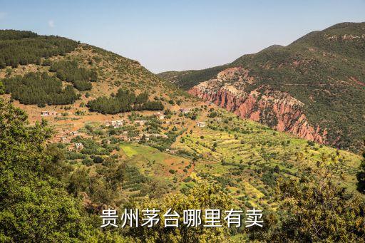 贵州茅台哪里有卖