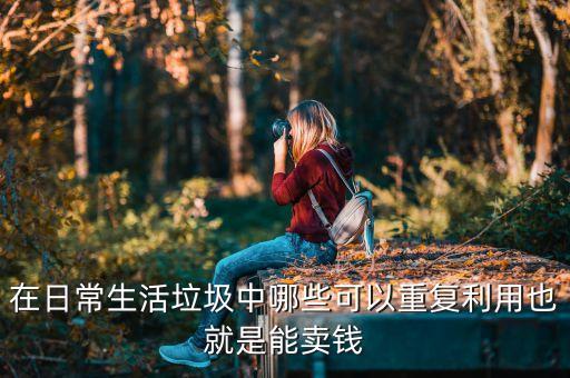 在日常生活垃圾中哪些可以重复利用也就是能卖钱