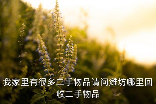 有回收小百货的吗在哪里，观前小商品市场哪里有可以把以前的衣服回收拍卖的店的啊