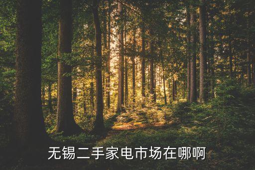无锡二手家电市场在哪啊