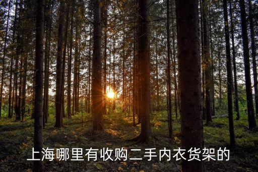 上海二手货架子低价转让网，上海哪里有收购二手内衣货架的