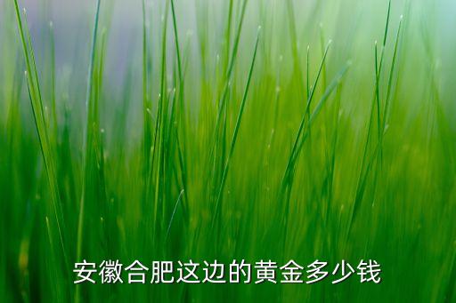 安徽合肥这边的黄金多少钱