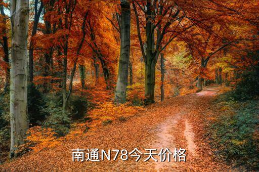 南通N78今天价格