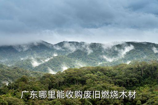 广东哪里能收购废旧燃烧木材