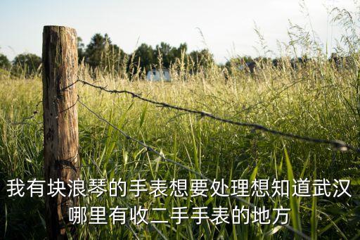我有块浪琴的手表想要处理想知道武汉哪里有收二手手表的地方