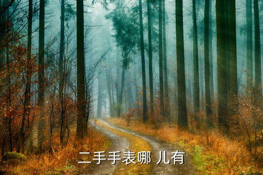 二手手表哪 儿有