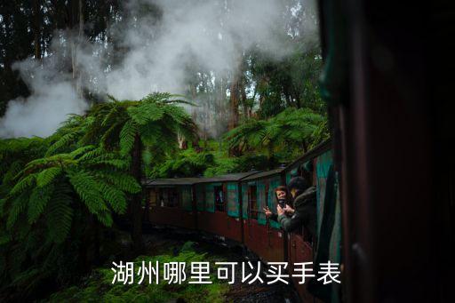 湖州哪里可以买手表