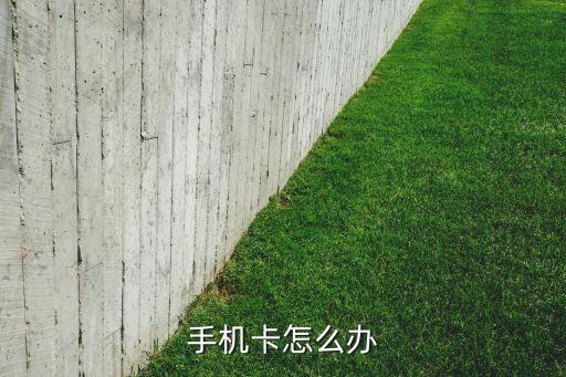 手机卡怎么办