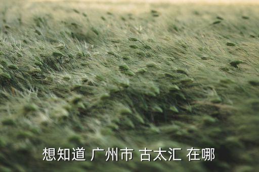 想知道 广州市 古太汇 在哪