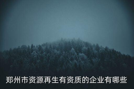 郑州市资源再生有资质的企业有哪些