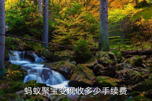 蚂蚁聚宝变现收多少手续费