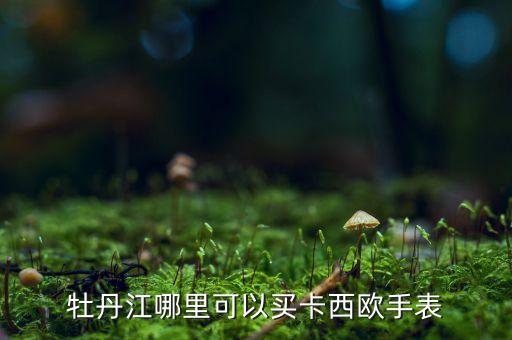 牡丹江哪里回收手表，牡丹江哪里可以买卡西欧手表