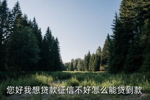 急用钱征信不好哪里可以贷，您好我想贷款征信不好怎么能贷到款
