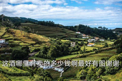 龙头马酒价格表图片，46度龙头马酒多少钱