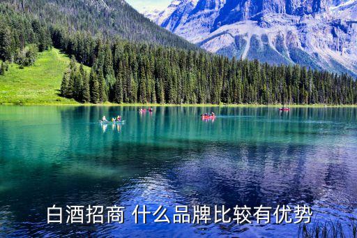 白酒招商 什么品牌比较有优势