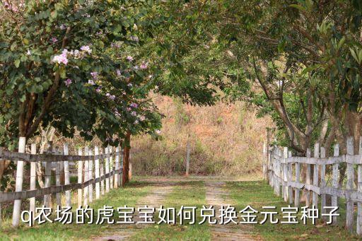 q农场的虎宝宝如何兑换金元宝种子