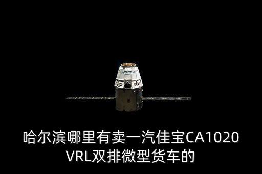 哈尔滨哪里有卖一汽佳宝CA1020VRL双排微型货车的