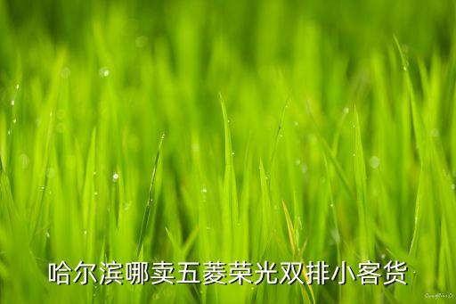 哈尔滨哪卖五菱荣光双排小客货