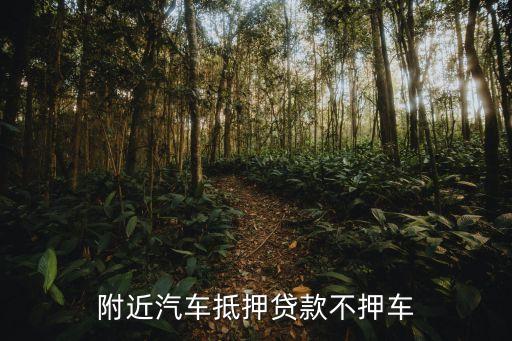 附近汽车抵押贷款不押车，请问不押车可以办车辆抵押借贷吗
