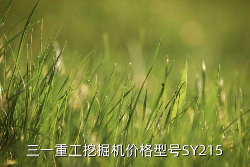 三一重工挖掘机价格型号SY215