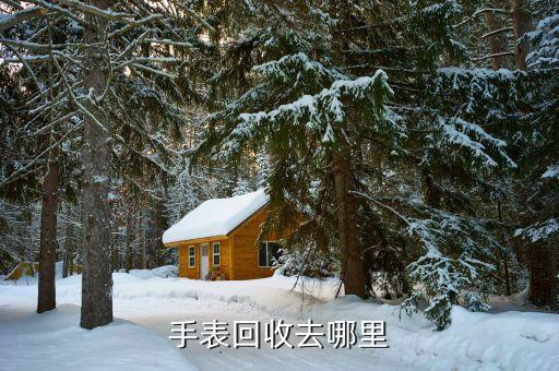 手表回收去哪里