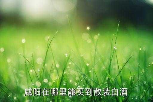 咸阳在哪里能买到散装白酒