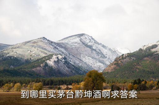 到哪里买茅台黔坤酒啊求答案