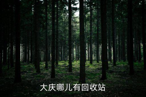 大庆哪儿有回收站