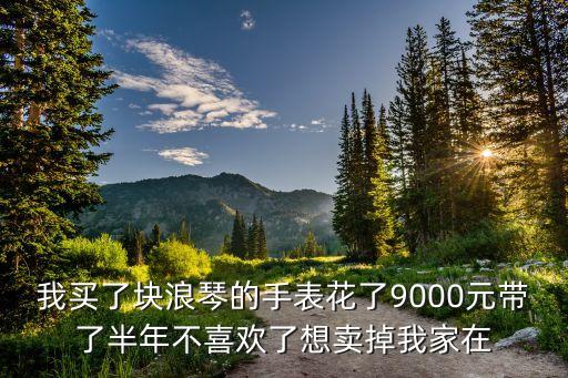 我买了块浪琴的手表花了9000元带了半年不喜欢了想卖掉我家在
