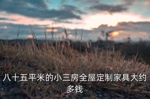 装修全屋定制价格一般多少钱，八十五平米的小三房全屋定制家具大约多钱