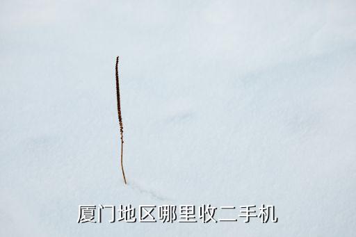 厦门地区哪里收二手机